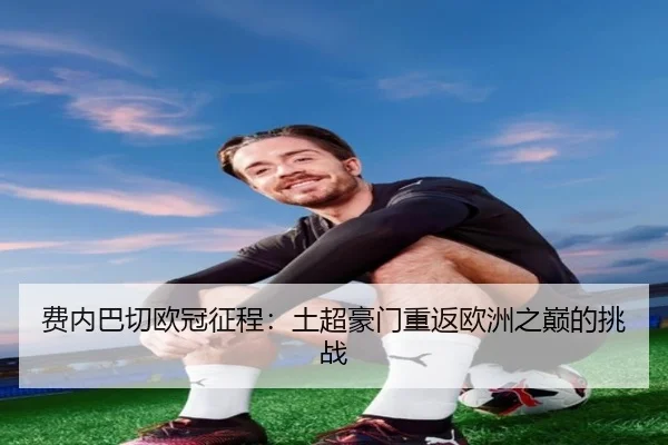 fei-nei-ba-qie-ou-guan-zheng-cheng-tu-chao-hao-men-chong-fan-ou-zhou-zhi-dian-de-tiao-zhan-2-101.jpg